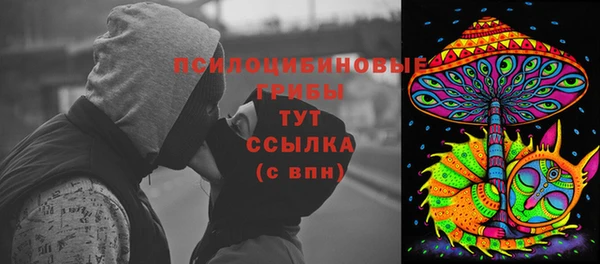 apvp Вязьма